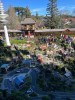 Thumbnail GRAMADO Y CANELA0