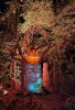 Thumbnail FOZ, CATARATAS &  BLUE PARK0